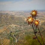 Leanna Conroy Profile Picture