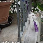 Heaven Green Profile Picture