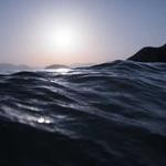 Johnathan Nikolaus Profile Picture