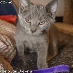 Mikayla Swift Profile Picture