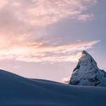 Ernesto Torp Profile Picture