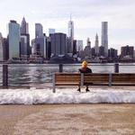 Randi Herzog Profile Picture