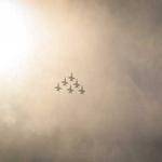 Modesta Howe Profile Picture