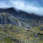 Bessie Kunze Profile Picture