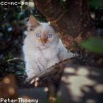 Alexandria Gutmann Profile Picture