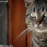 Gudrun Ledner Profile Picture