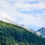 Mohammad Heaney Profile Picture