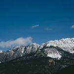 Burnice Mosciski Profile Picture