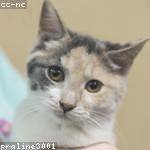 Lyric Bernhard Profile Picture