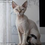 Mavis Stanton Profile Picture