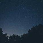 Nikko Block Profile Picture