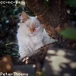 Soledad Bergnaum Profile Picture