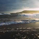 Bailey Bartoletti Profile Picture