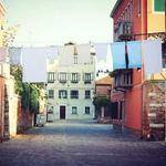 Gerry Walter Profile Picture