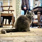 Merlin Miller Profile Picture