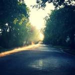 Julius Hintz Profile Picture