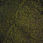 Aglae Emmerich Profile Picture