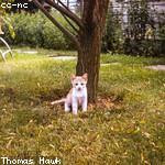 Barry Howe Profile Picture