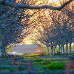 Tyreek Greenholt Profile Picture