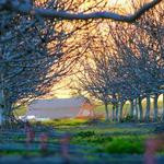 Tyreek Greenholt Profile Picture