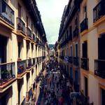 Lucienne Bashirian Profile Picture