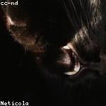 Rubie Lindgren Profile Picture