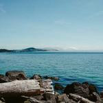 Zoie Fay Profile Picture