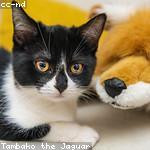 Otha Moore Profile Picture