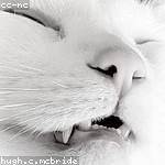 Bernard Mante Profile Picture