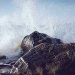 Lucinda Goldner Profile Picture