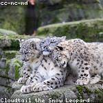 Troy Wilderman Profile Picture