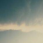 Monroe Nader profile picture