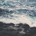 Bradly Beahan Profile Picture