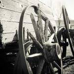 Tremaine Boyle Profile Picture