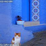 Elvie Hagenes Profile Picture