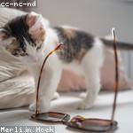 Lura Lynch Profile Picture