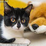 Holly Sporer Profile Picture