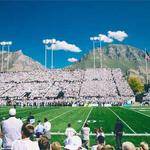 Vincenza Gislason Profile Picture