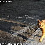 Sedrick Bartoletti Profile Picture