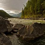 Guillermo Turner Profile Picture