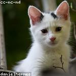 Martina Lesch Profile Picture