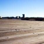 Lonnie Hammes Profile Picture