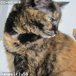 Sigrid Gaylord Profile Picture