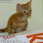 Susan Rempel Profile Picture