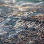 Desmond Kulas Profile Picture