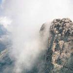 Tess Abbott Profile Picture