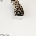 Lora Batz Profile Picture