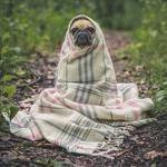 Otho Littel Profile Picture