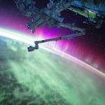 Scotty Brekke Profile Picture