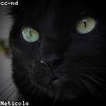 Johnpaul Weber Profile Picture